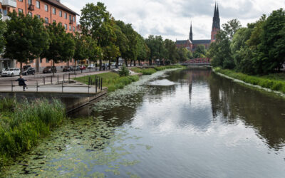 Visitet söker sjuksköterskor till Uppsala kommun